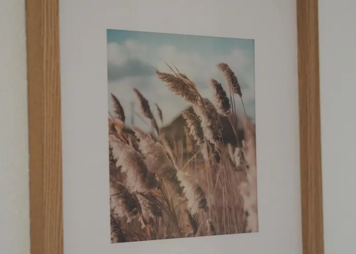 Appartement Xantener Suedsee 4you